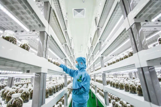 图片来源：云谷田园