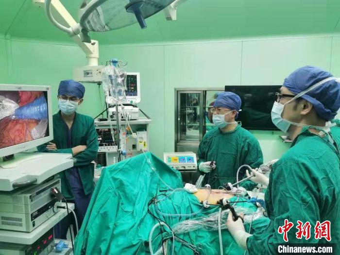 上海专家率先成功完成了腹腔镜胰体尾切除联合自体胰岛细胞移植术。　长征医院供图