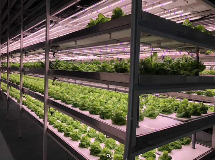 图片来源：陕西旭田