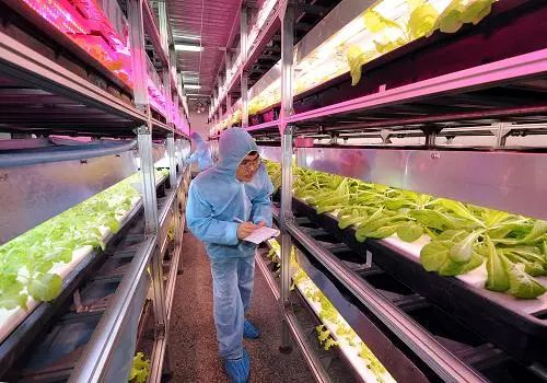 图片来源：新华社