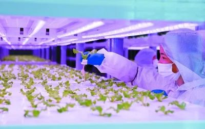 图片来源：南京日报