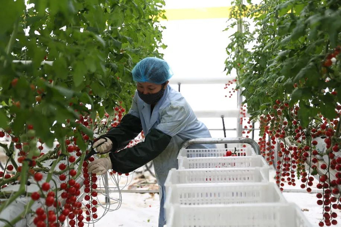 图片来源：新华网