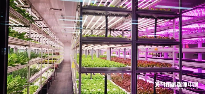 图片来源：义乌发布