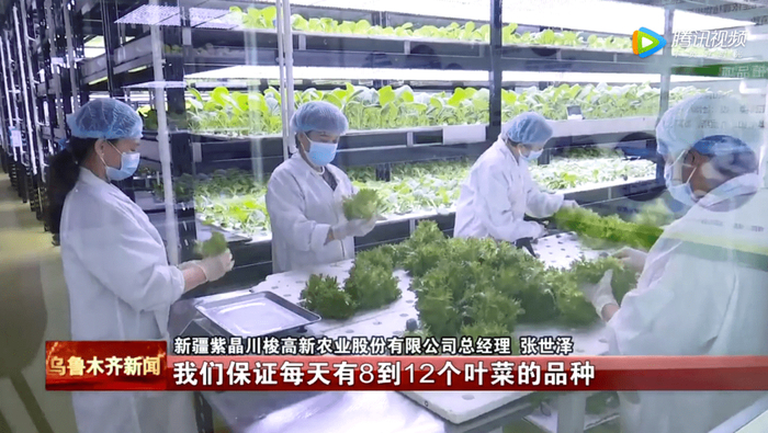 图片来源：新疆网