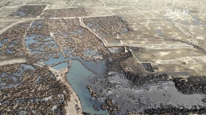 采土留下的大坑，就像黑土地的“疮疤” 图片来源：新华社