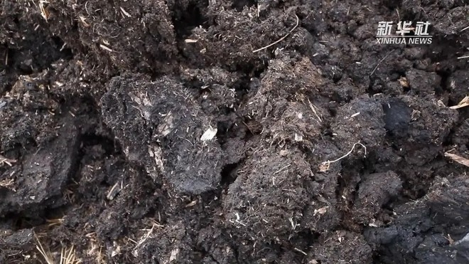 挖出来的黑土 图片来源：新华社