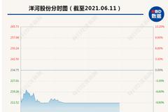 突发闪崩：13万股东彻底气炸 3000亿白酒巨头洋河股份开盘半小时跌停