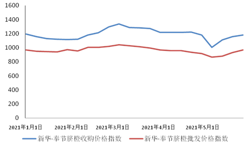 　　图1.新华·奉节脐橙价格指数走势图
