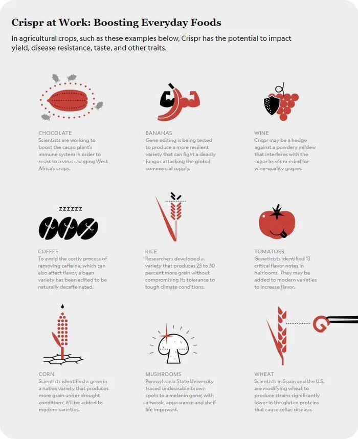 这些蔬果和作物都有科学家正在通过CRIPSR/Cas技术在改良, 中国也正在培育藜麦的新品种。图片来自：Bio.org