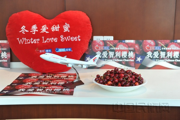 东航物流帮助智利水果走向中国消费者（钱擘摄）