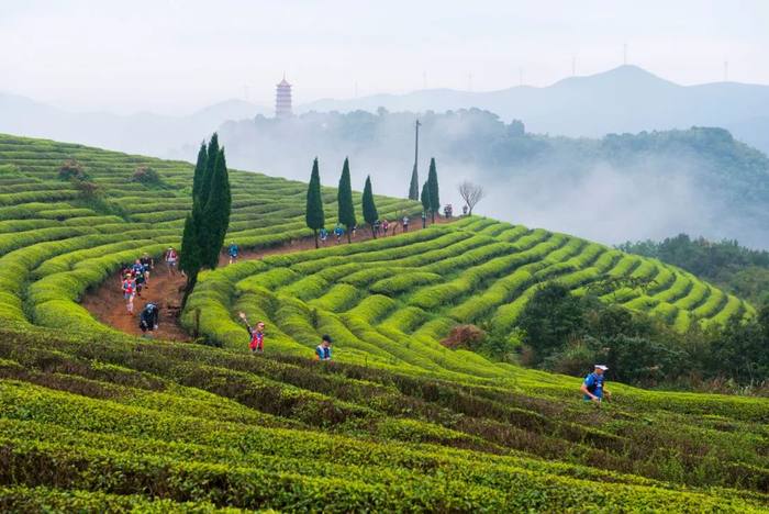 近十年，越野赛事在国内遍地开花，目前每年的赛事已经超过了上千场 （穹景体育供图）