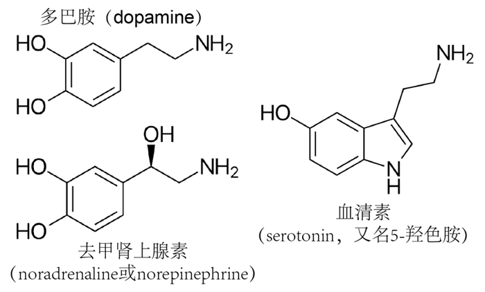图5. 三种主要的单胺类神经递质化学结构