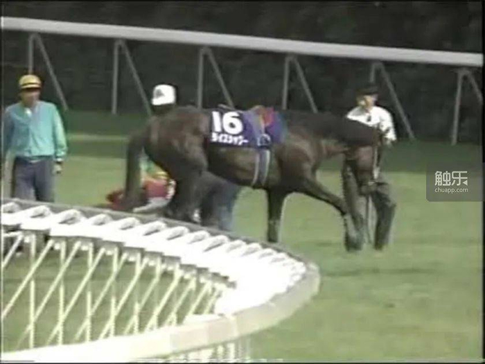 米浴最后一次出现在赛场上的身影