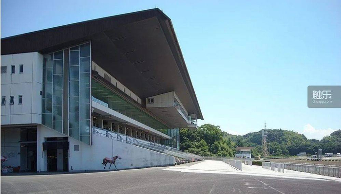 春乌拉拉所在的高知赛马场因为经营不善曾经几乎破产