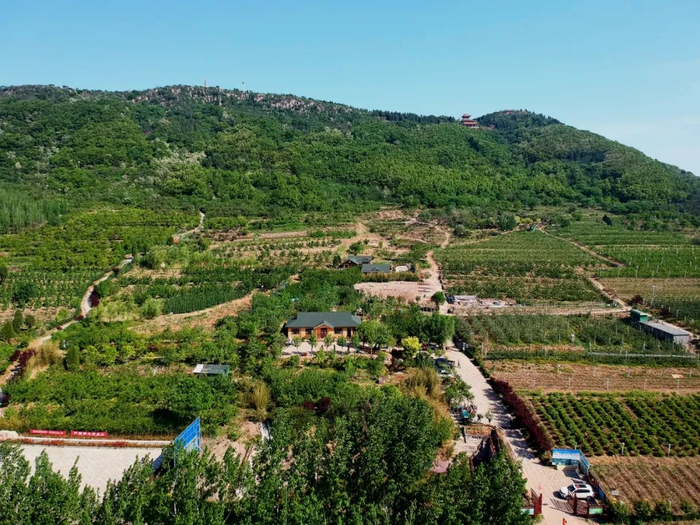 诸城常山永辉生态农场。（资料图片）