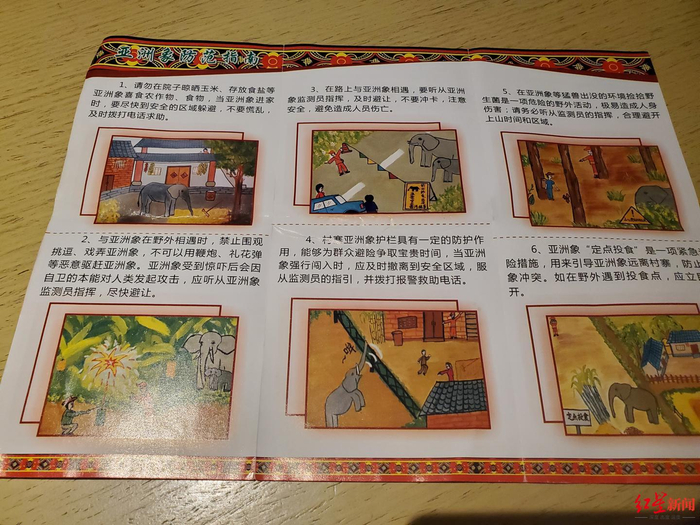 ↑普洱市林草局制作的亚洲象防范指南。图据红星新闻