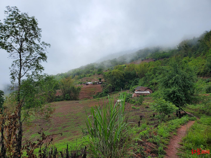 ↑梅子镇民乐村杂马二组。图据红星新闻