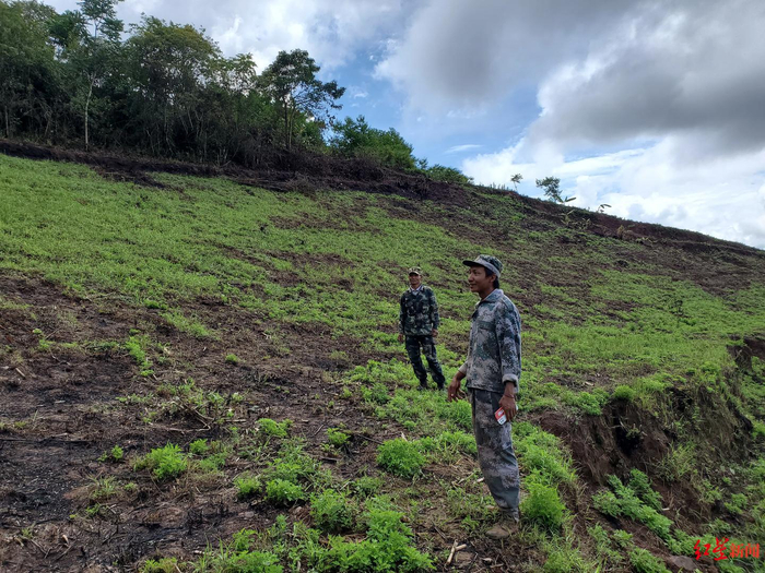 ↑付启友（右）和毕仕学（左）向记者介绍象群过境的受损情况。图据红星新闻