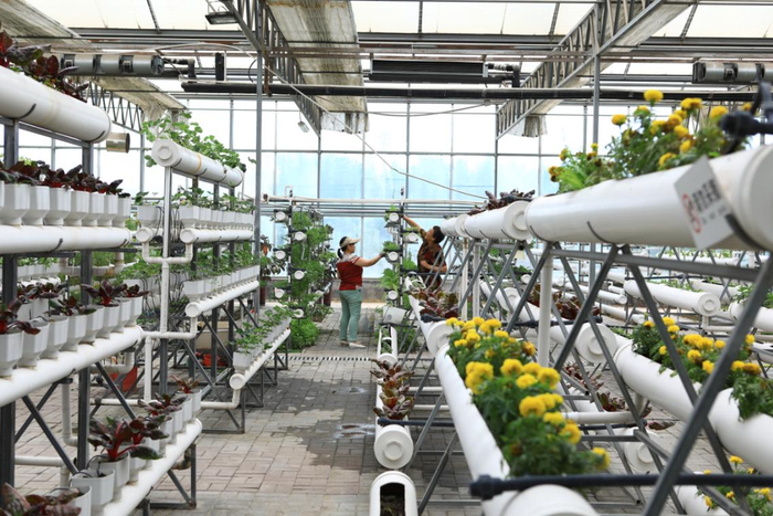 现代农业观光园一景