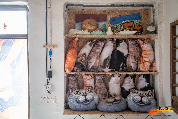 以“猫”为主题的抱枕颇受游客欢迎。长城网记者 李皓 摄