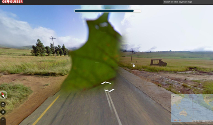 其实是一片树叶挡住了镜头