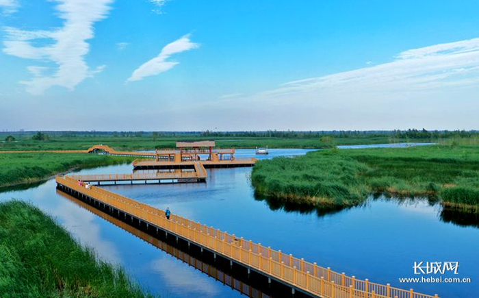 白洋淀。资料图