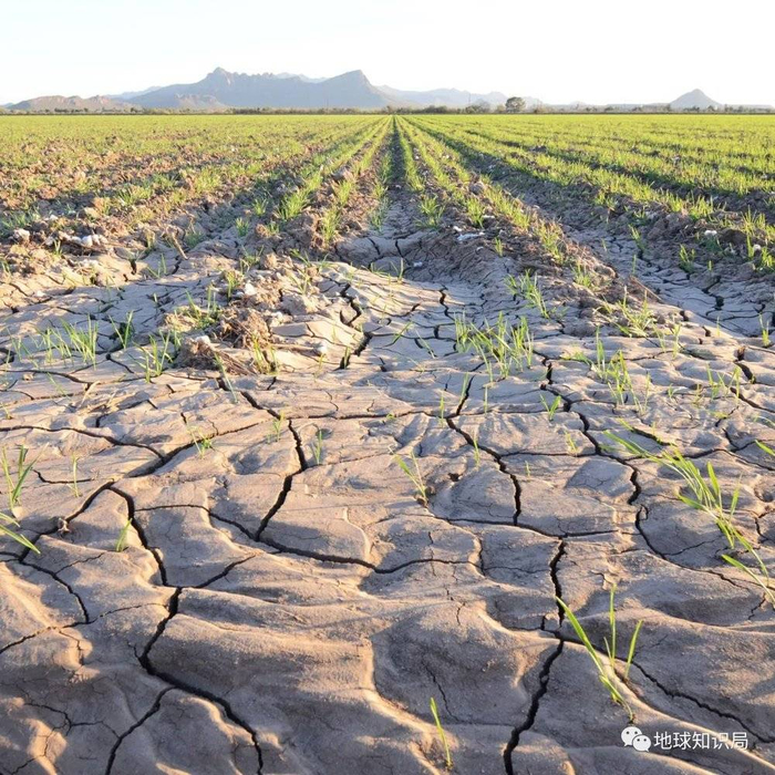优先要卡的就是农业这个耗水大户（图：shutterstock@Jerry Horbert）