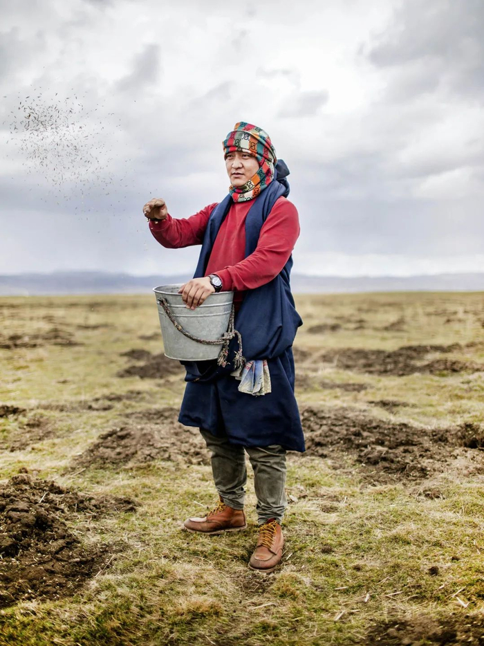 ▲牧民次让扎西，29岁，负责播种。