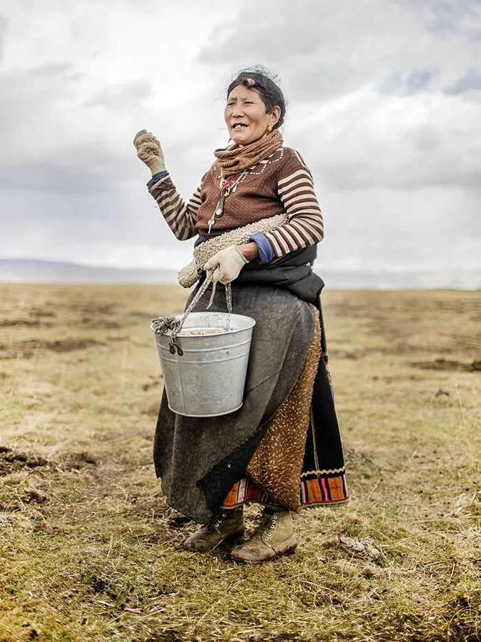 ▲牧民朗珺，60岁，负责播种。