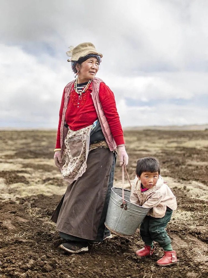 ▲牧民尕玛，56岁，负责播种。