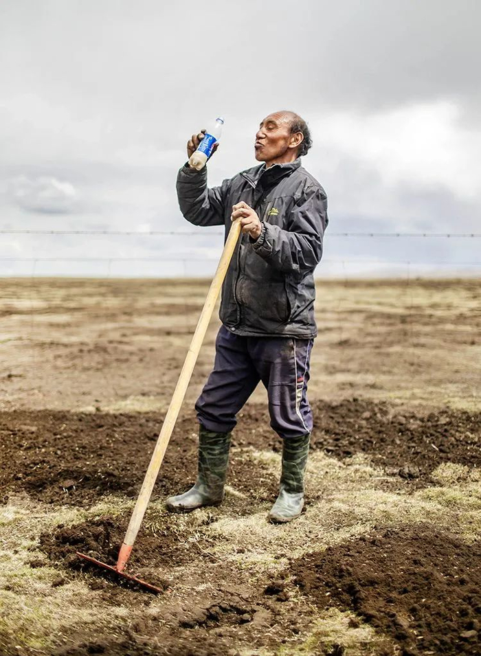 牧民才让当朱，52岁，有3个孩子。