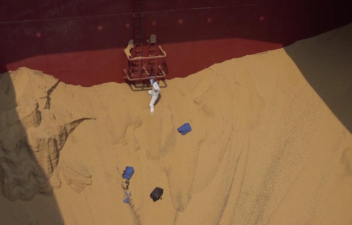 青岛海关缉私警察在进口大豆货舱内发现走私毒品。图片由青岛海关提供