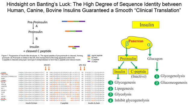 图八。来源：labpedia.net