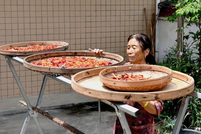 傅济庭孙媳钟石娇在自家院子里晒辣椒。　陈鹏摄