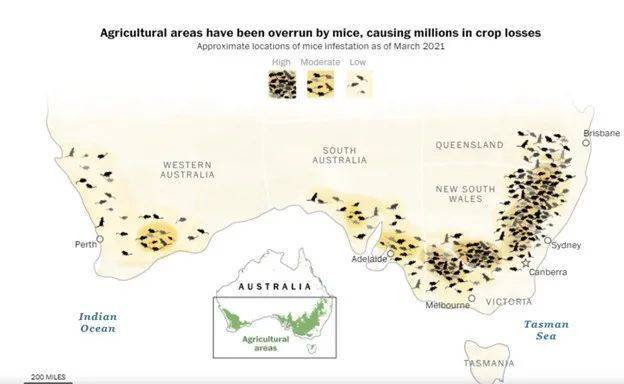●2021年3月澳大利亚居民报告的老鼠出没频率/华盛顿邮报