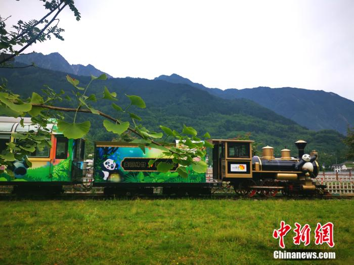 熊猫主题观光小火车。 苑菁菁 摄