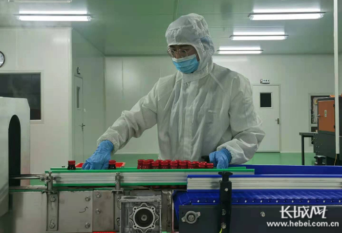 企业纷纷步入枸杞深加工行列。长城网记者 郭庆敏 摄