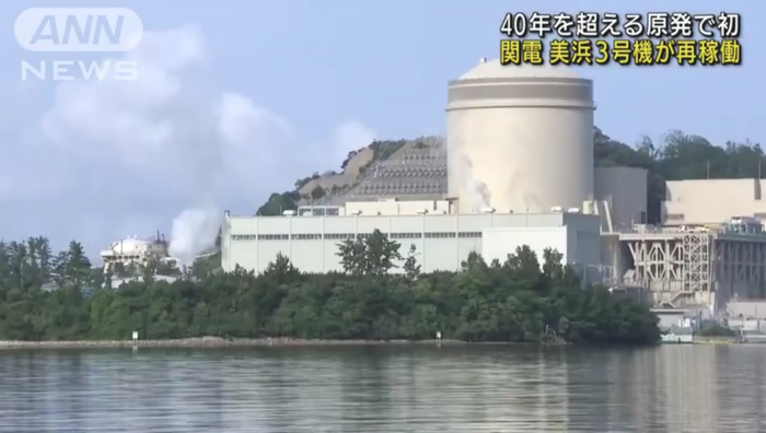 图片来源：全日本新闻网ANN报道截图