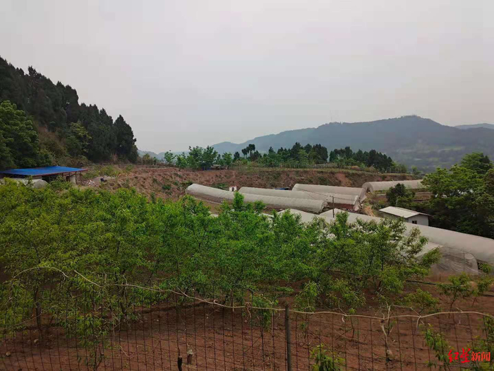 ▲贺华兵的农场。