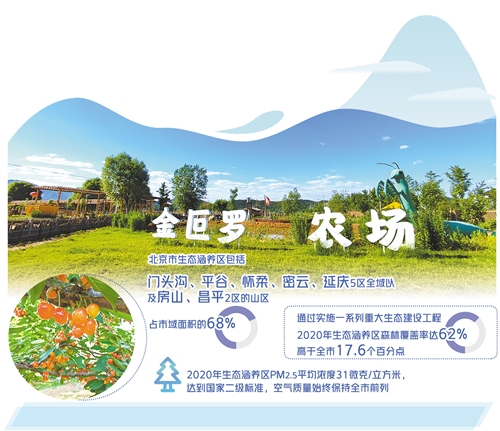  图① 金叵罗农场的有机菜园、果园等，给游客提供了新鲜的农事体验。 本报记者 韩秉志摄 图② 金叵罗村樱桃采摘园内挂满枝头的樱桃。 张 凯摄