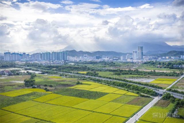 深汕合作区全力打造田园城市、都市乡村。图片来源：南方+客户端