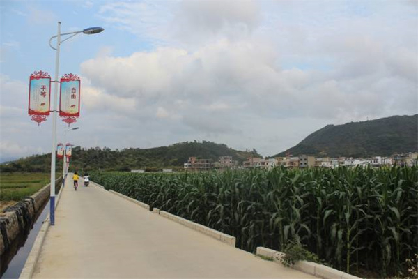 深汕合作区水美村。图片来源：南方+客户端