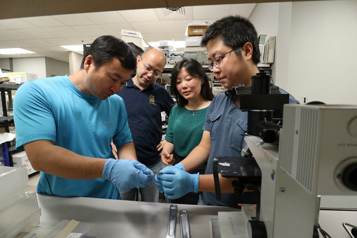  姜汉卿博士和他在亚利桑那州立大学的团队在研制折叠电池西湖大学图