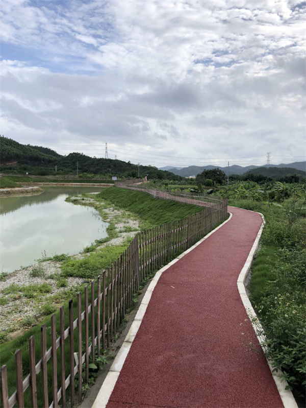 深汕美丽乡村。图片来源：南方+客户端