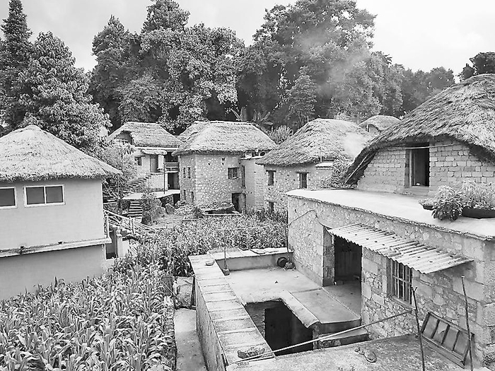  阿者科村的“蘑菇房”。 毛立军 摄