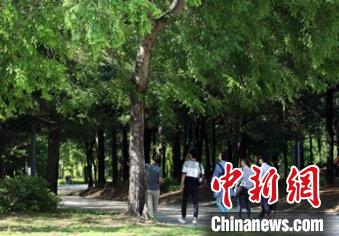 首尔林 首尔市政府供图