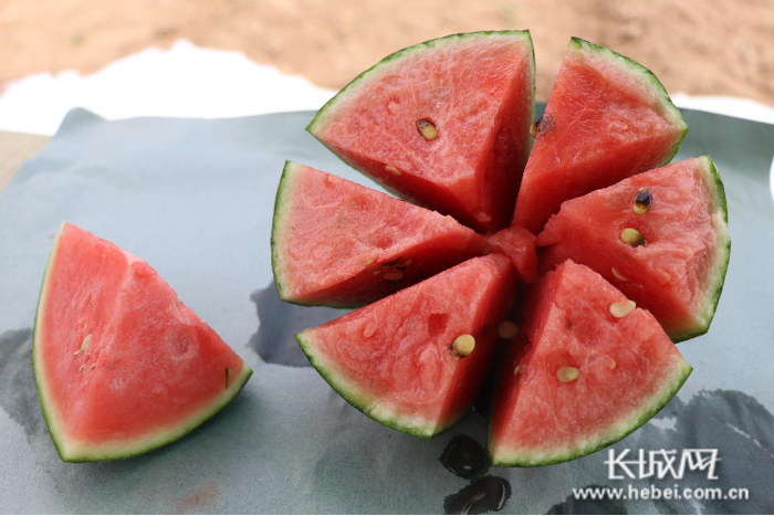 相比普通西瓜，中任村的吊秧西瓜甜度更高、口感更好。通讯员 刘奕 摄