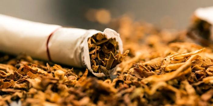 烟草的四张面孔:改变大众对吸烟的态度背后的博弈_手机新浪网