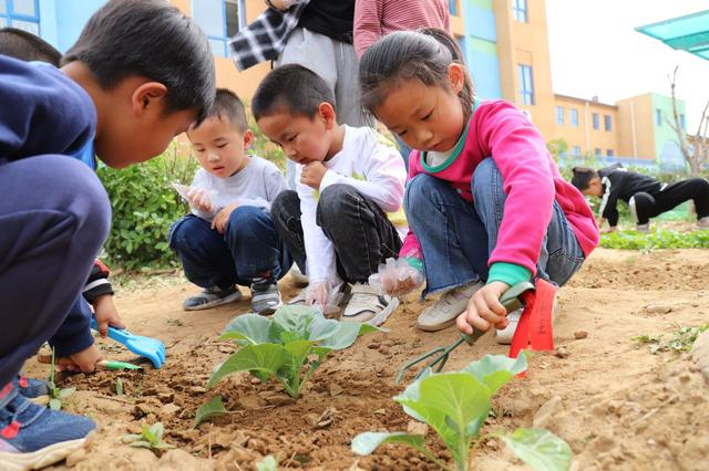 孩子们正在观察蔬菜长势，为蔬菜松土施肥。 岳清禹 摄