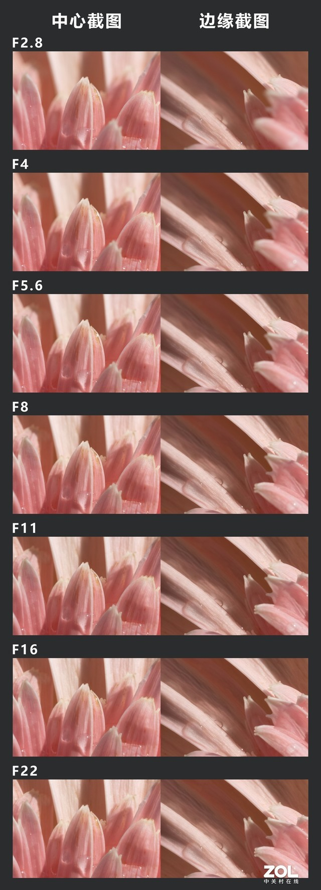 微距模式不同光圈档位下RF&nbsp;100mm F2.8 L MACRO IS USM的中心及边缘区域截图对比